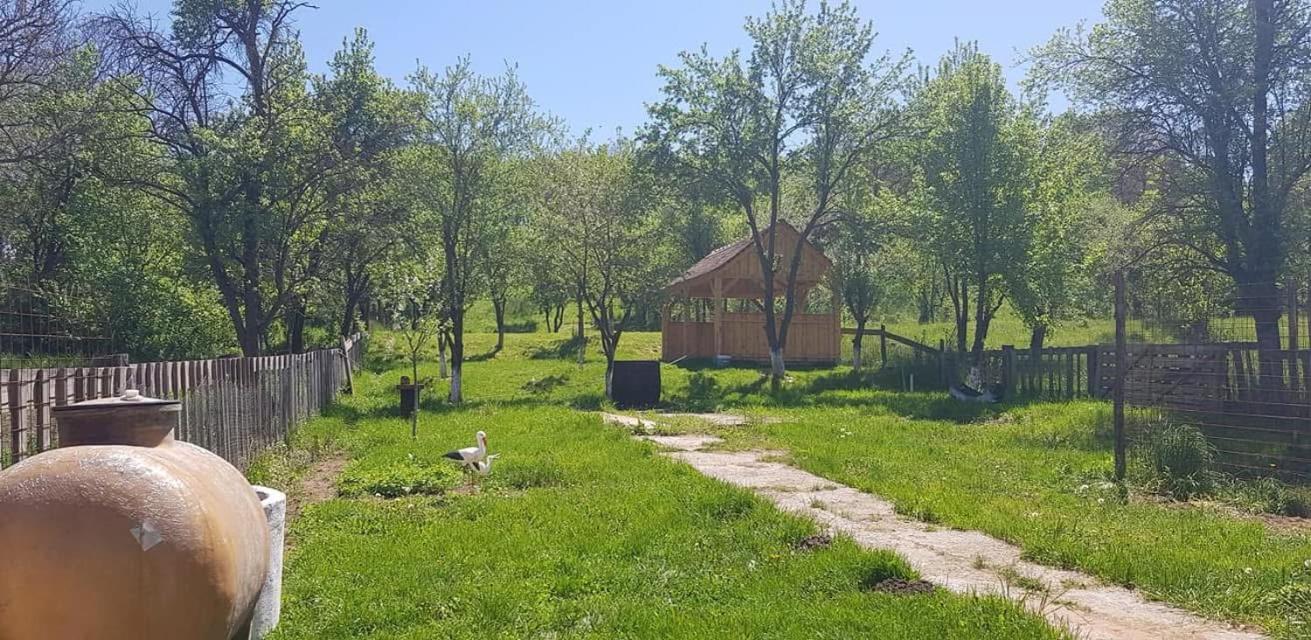 Viscri 143 Villa Dış mekan fotoğraf